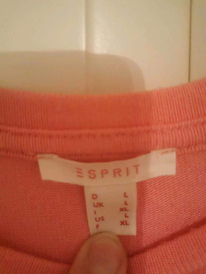 Langarmshirt von Esprit  in L rosa in Schwentinental