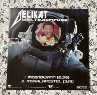 Delikat Weltraumpunk 7“ Vinyl Irgendwann Moralapostel Bonn - Beuel Vorschau