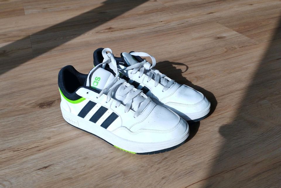 Adidas Sneaker Turnschuhe Gr. 38 2/3 in Pansdorf