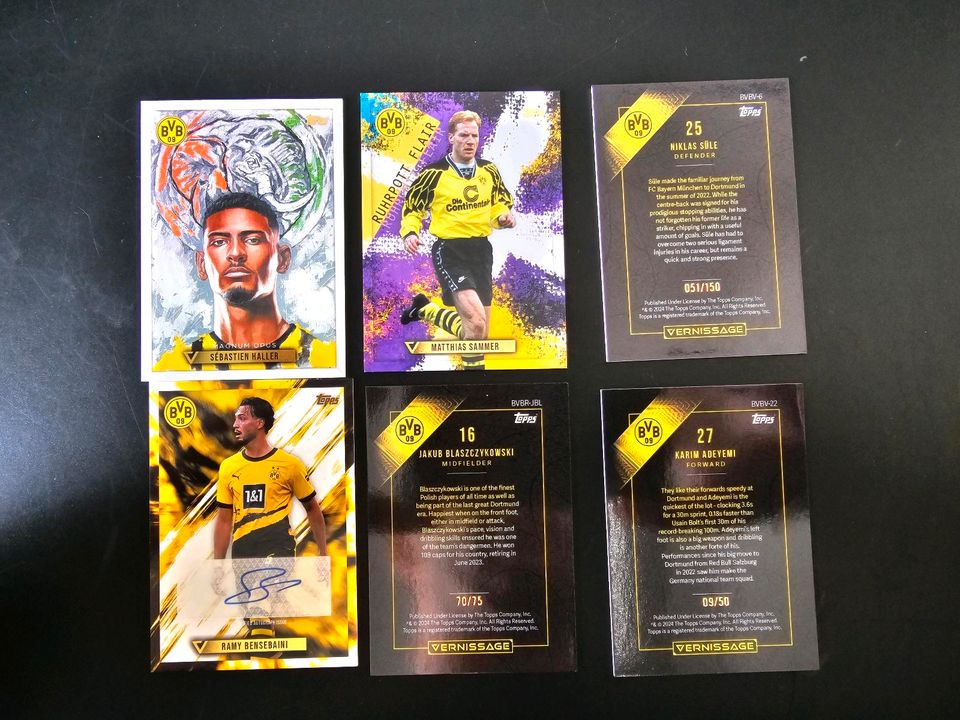 Topps Vernissage BVB Dortmund (Selten) in Boppard