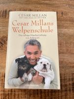 Cesar Millans Welpenschule/ Hundebuch/ Hundeerziehung Kreis Pinneberg - Tangstedt Vorschau