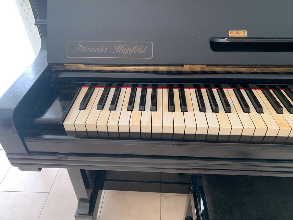 Phonola Hupfeld- Piano Mand B148 x T74 x H140cm schwarz in Pfungstadt