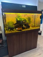 Juwel Rio 350 Aquarium Mega Set jbl / Eheim Nordrhein-Westfalen - Ahlen Vorschau