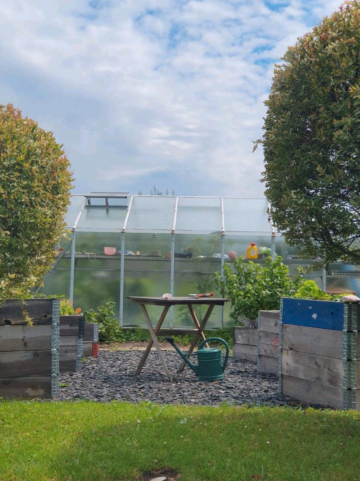 Kleingarten in Frankfurt (Oder) 495qm in Berlin Mitte Grundstück