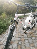 E-bike EH Line (wenig km) Dresden - Blasewitz Vorschau