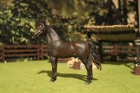 CollectA Repaint repainted Morgan Hengst Stallion 88646 Mini Cust Bayern - Frammersbach Vorschau