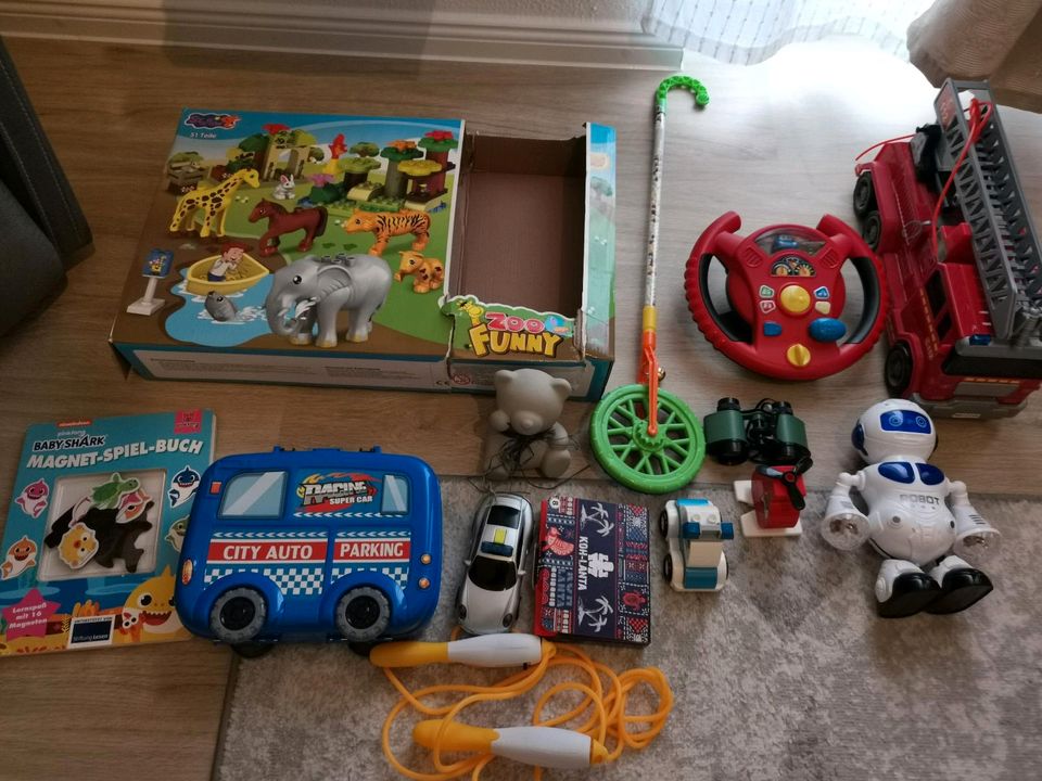 Montessori Pädagogische Spielzeug Sammlung in Endingen
