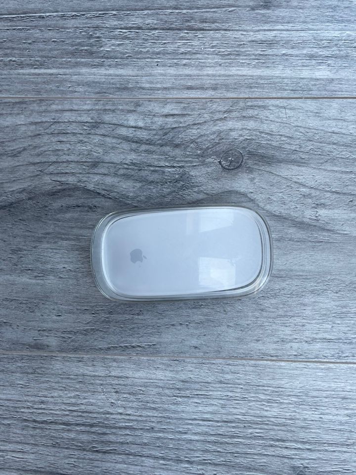 Apple Magic Mouse in Struppen