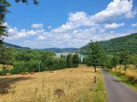 (Streuobst-)Wiese gesucht (Obstwiese, Land, Acker, Grundstück) Bayern - Lauf a.d. Pegnitz Vorschau