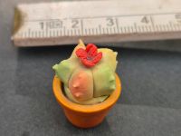 Mini Figur Ton Keramik Kaktus Blüte mediterran Setzkasten sammeln Dresden - Cotta Vorschau