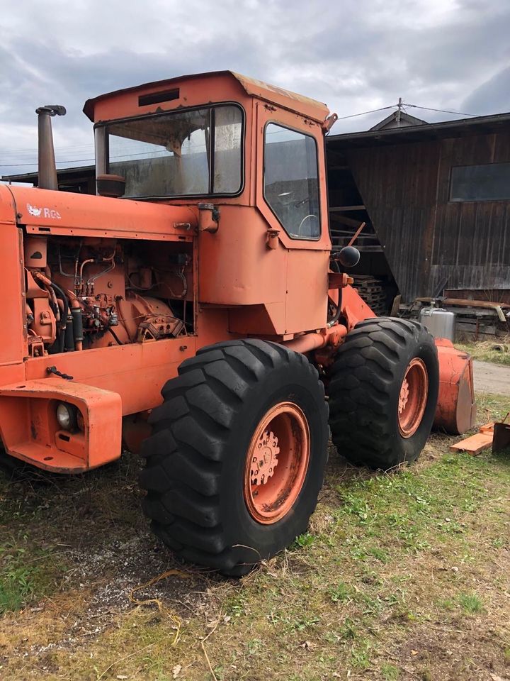 Hanomag Lader in Prien