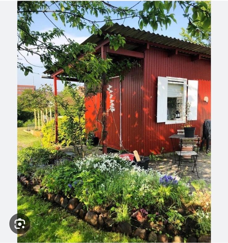 Reserviert • Gelöscht • 
                    ICH SUCHE Kleinga...