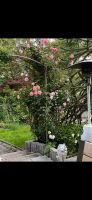 Rentner für Gartenarbeit Nordrhein-Westfalen - Herford Vorschau