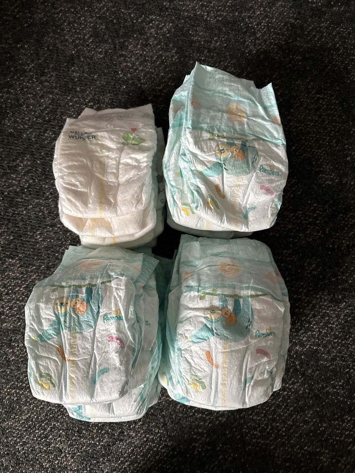 Windeln Größe 2 Pampers und Babydream in Cloppenburg