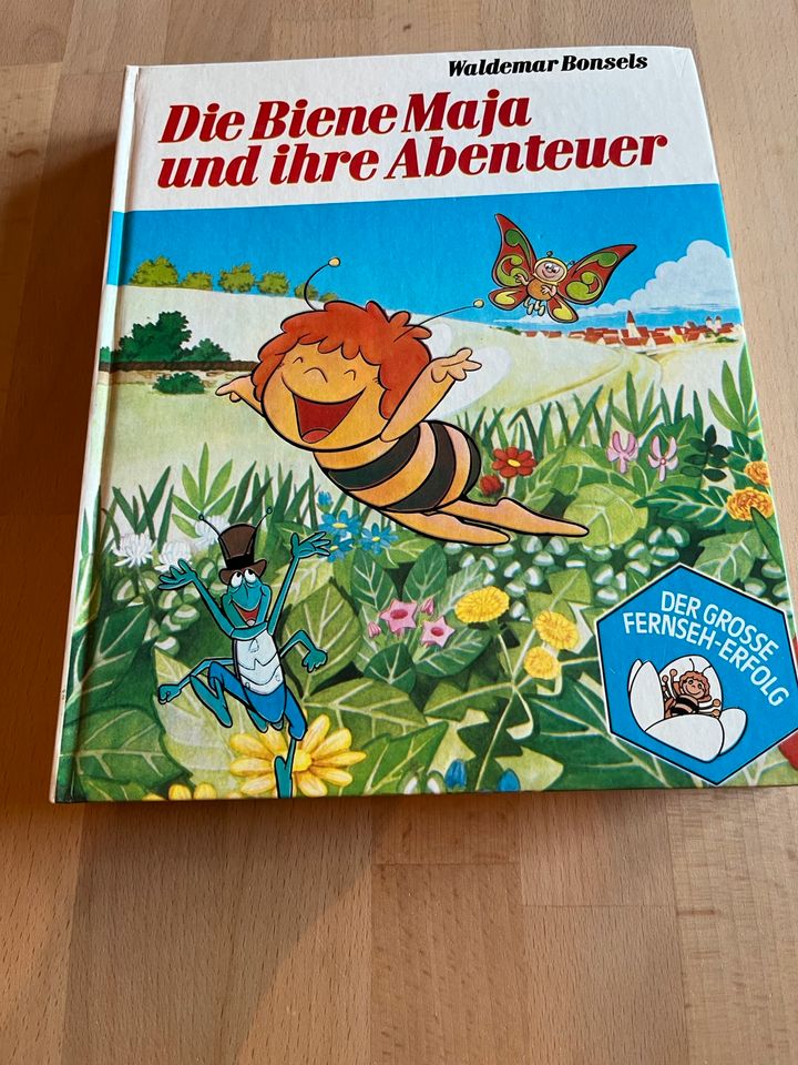 Kinderbuch Biene Maja in Hünxe