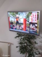 Panasonic TV  TX-L47ETX54 Hessen - Fulda Vorschau