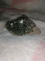 Naturkristall Pyrid mit Chaclopyrid Bulgarie Bochum - Bochum-Süd Vorschau