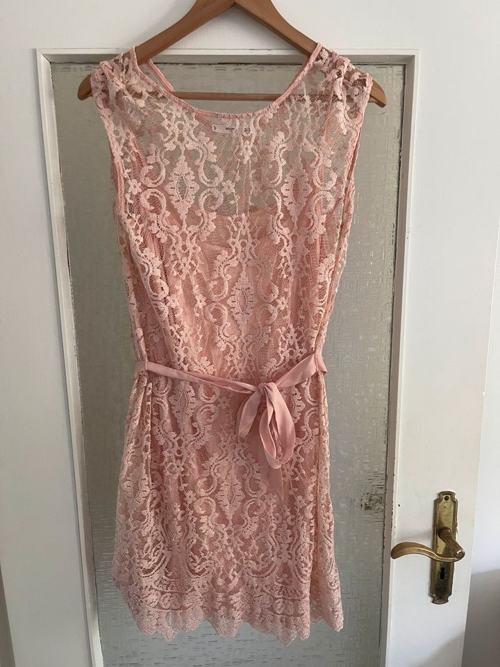 Mango Spitze Oberteil Rose Kleid xl in Hamburg