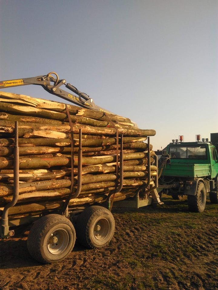 Holztransport in Kalbach