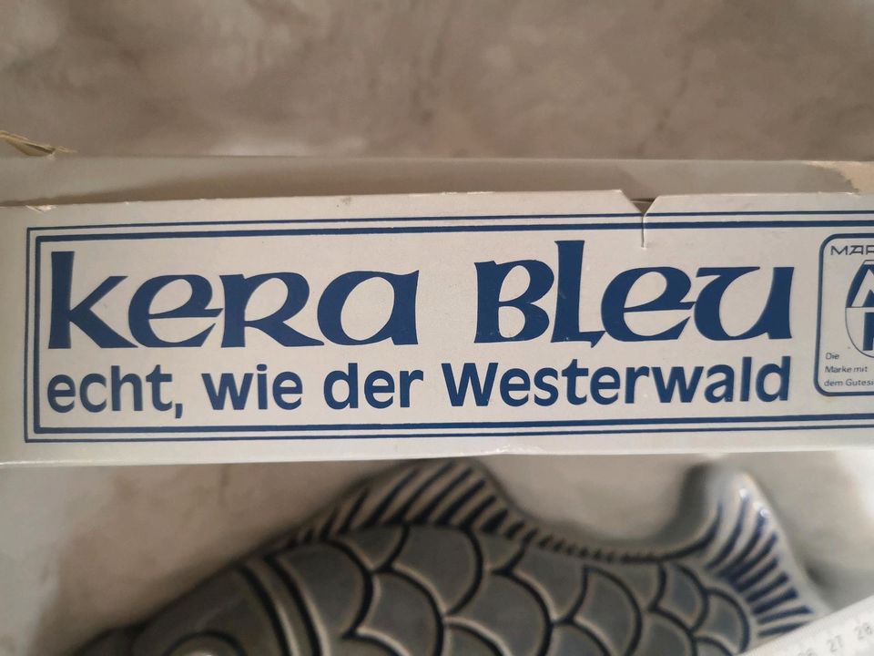 Fischform✅Kera Bleu✅echt, wie der Westerland✅Rarität in Urbach