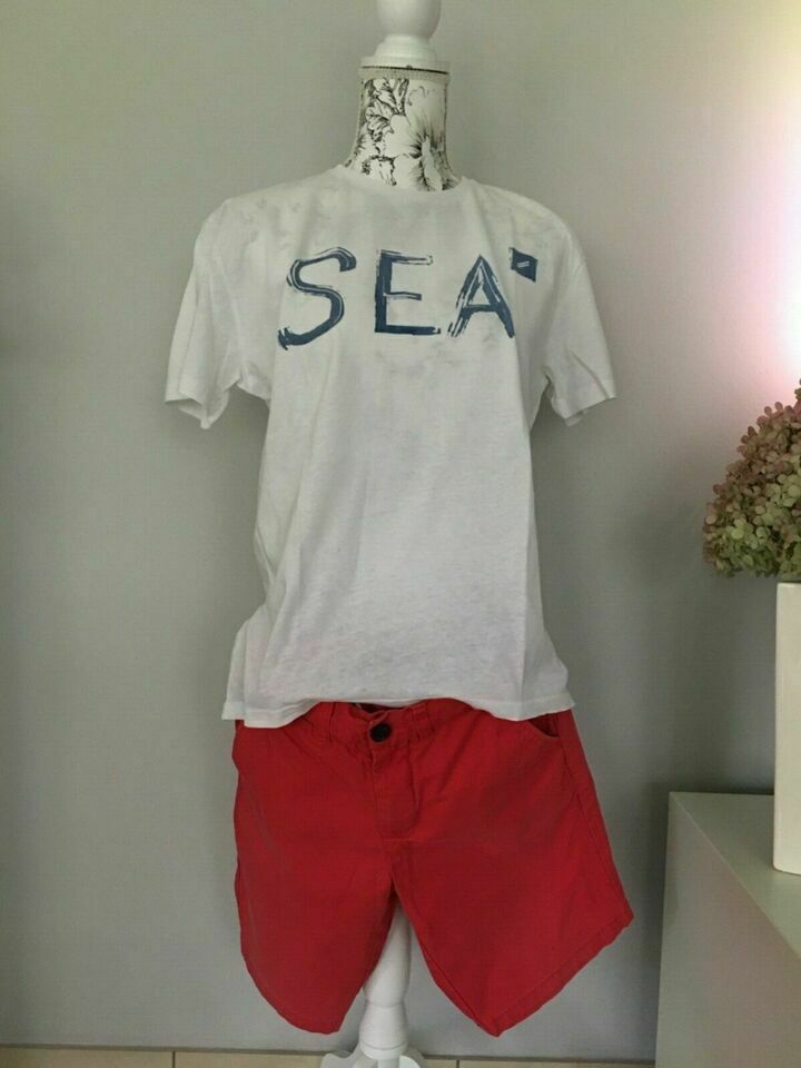 Daniel Hechter Shirt Sea Jungen Männer Gr S neuw. Marke GRATIS in Pritzwalk