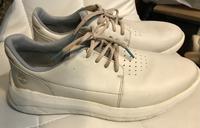 timberland sneaker, wie neu gr. 42, ori.pr. 110 eur Berlin - Wilmersdorf Vorschau