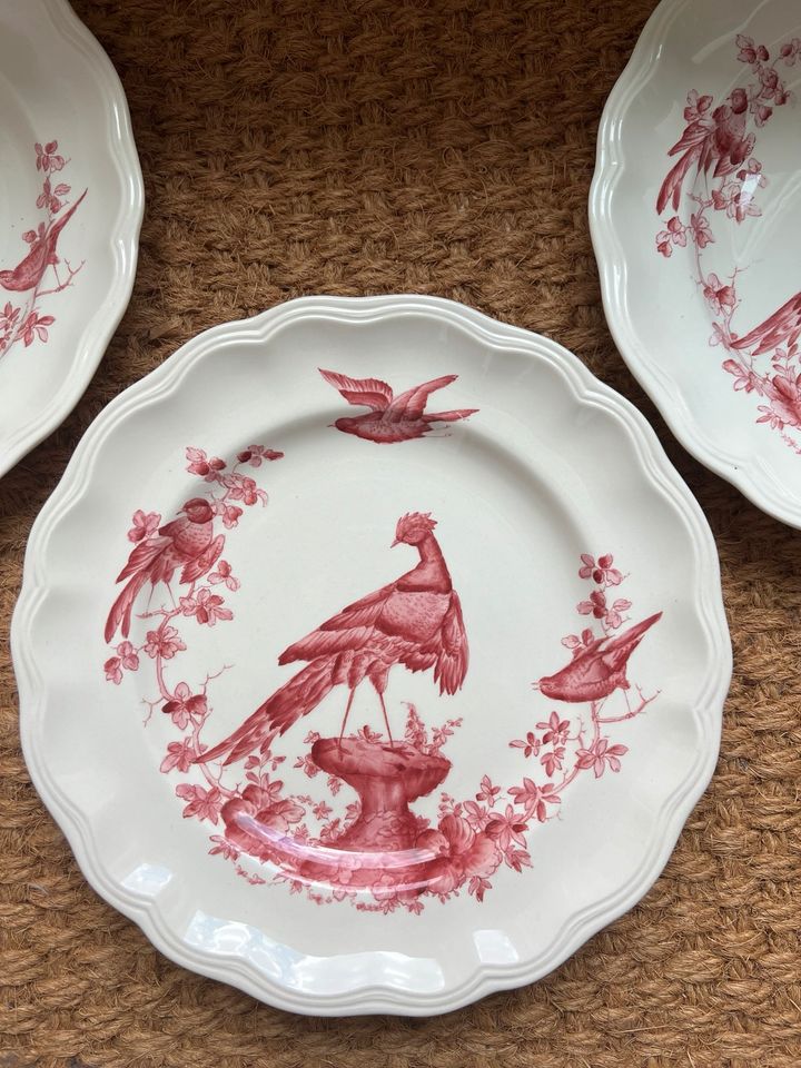 Teller groß von Spode Copeland - roter Fasan 4 Stück in München