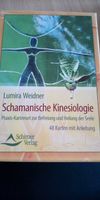 Schamanische Kinesiologie Sachsen-Anhalt - Am Großen Bruch Vorschau