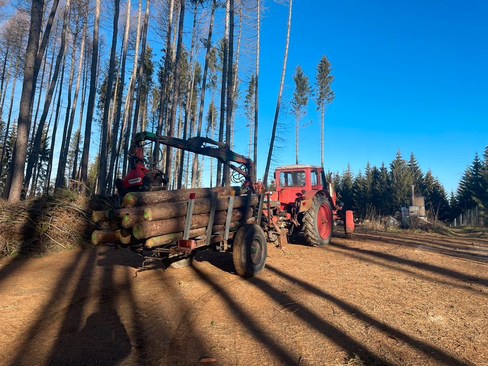 Rückewagen * Holz * Wald * Rückehänger Atlaskran in Marienberg