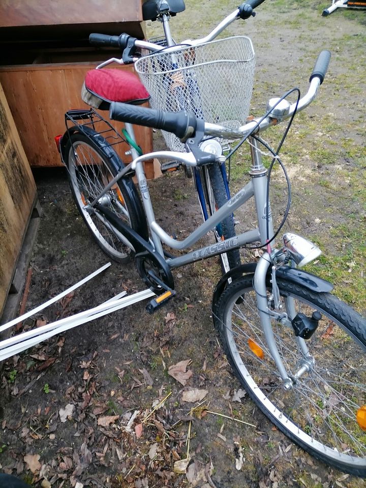 Damenfahrrad Hercules und Classic in Ventschow