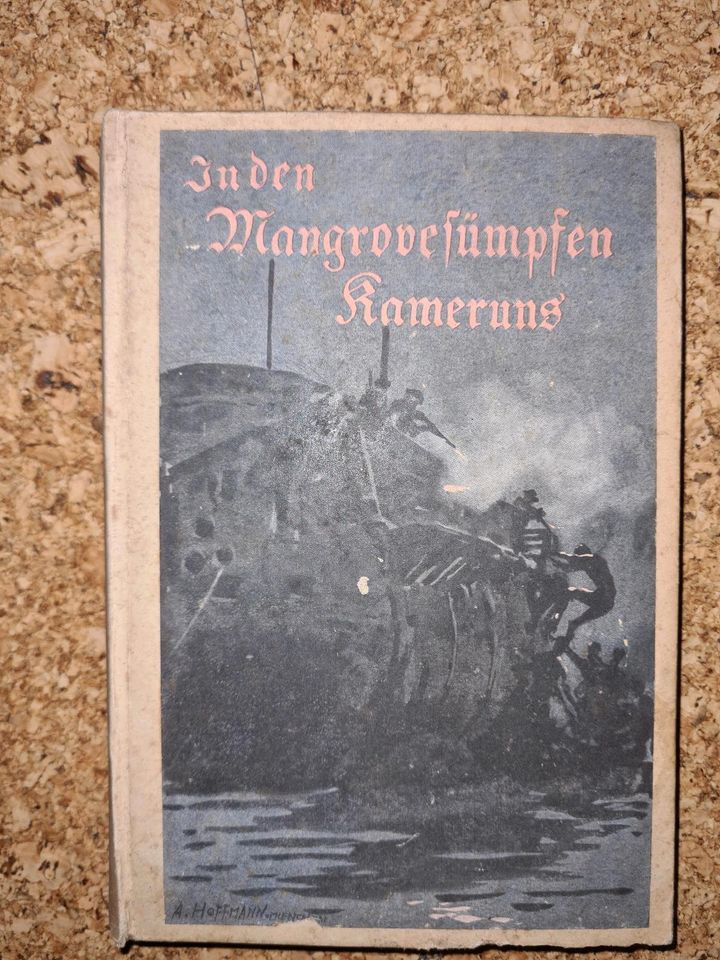 In den Mangrovensümpfen Kameruns 1924 Eljens in Offenbach