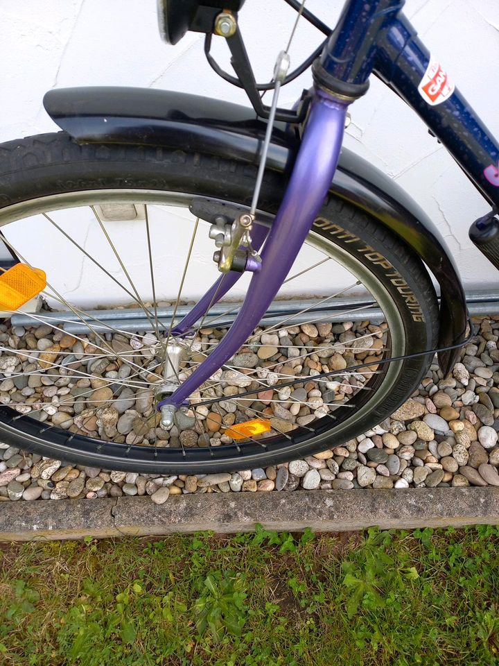 Fahrrad Schauff- Madera 26 Zoll 7 Gang Nabenschaltung mit  Rücktr in Ottweiler