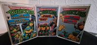 Teenage Mutant Hero Turtles Kassetten Nordrhein-Westfalen - Hagen Vorschau