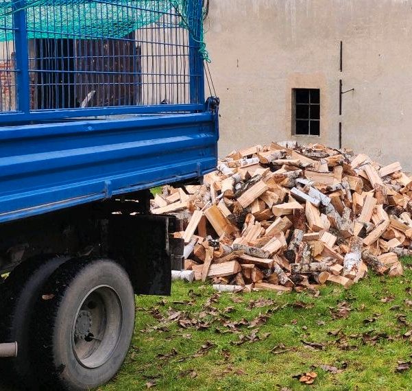 Kaminholz Brennholz Feuerholz Holz Birke Kiefer in Senftenberg