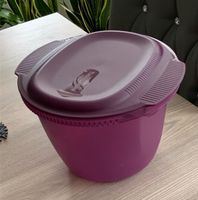 Tupper Mikrowelle Pasta Master 3,0 l lila Nordrhein-Westfalen - Gelsenkirchen Vorschau