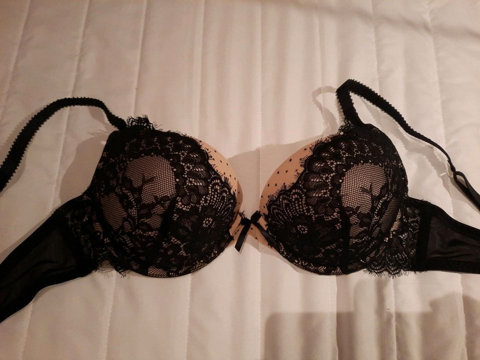 Verschiedene push up bhs hunkemöller neu! in Kiel