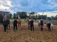 Reitunterricht Ponyreiten Pferdetraining Sachsen-Anhalt - Woltersdorf SA Vorschau