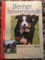 Berner Sennenhunde (Ulmer) Nordrhein-Westfalen - Vreden Vorschau