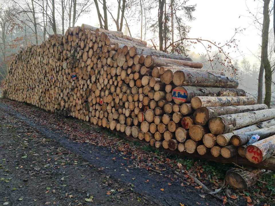 Stammholz Rundholz Brennholz Kiefer Buche Eiche etc.mit Lieferung in Alzey