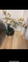 Künstliche Orchidee München - Trudering-Riem Vorschau
