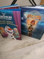 Disney Buch TinkerBell Piratenfee, Eiskönigin Sachsen - Neukirchen/Pleisse Vorschau