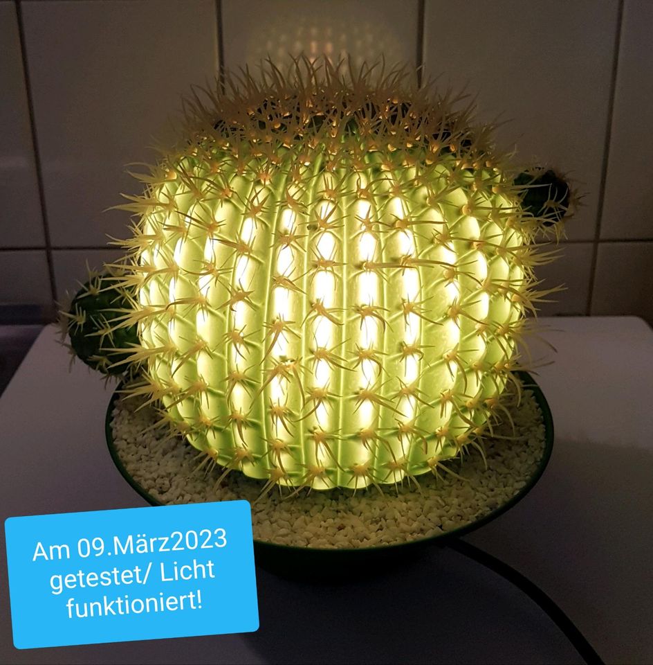 Kaktuslampe Neuwertig Kaktus Lampe mit Leuchtmittel in Stralsund
