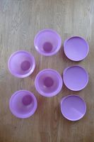 Tupperware Junge Welle Schüssel 550 ml mit Deckel Lila (7) Baden-Württemberg - Karlsruhe Vorschau