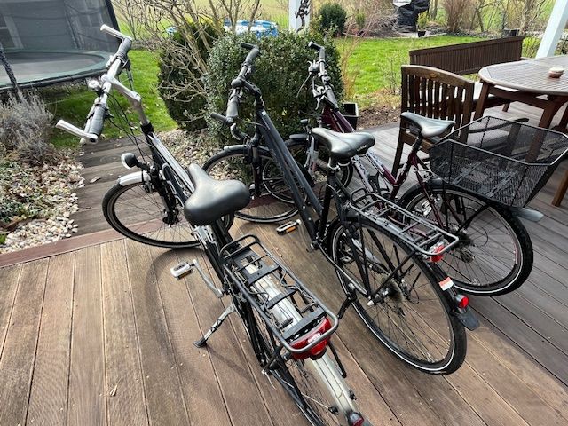 333,-- Fahrräder 333,-- Euro.  Damenrad + Mädchenrad  + Herrenrad in Friedland