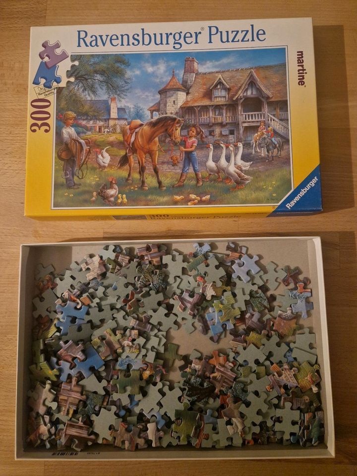 Puzzle von Ravensburger 300 Puzzleteile in Leipzig