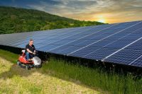 Solarparks Mähen Mulchen Photovoltaikanlagen Pflegen Streuobst Bayern - Parsberg Vorschau