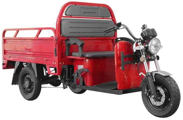 AMR Jinpeng Cargo Runner vs Cargo-Muli 350 Dreirad Tuk Tuk in Lampertheim