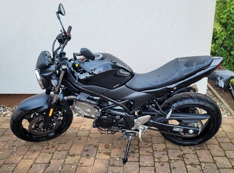 Suzuki SV 650 in Bad Doberan