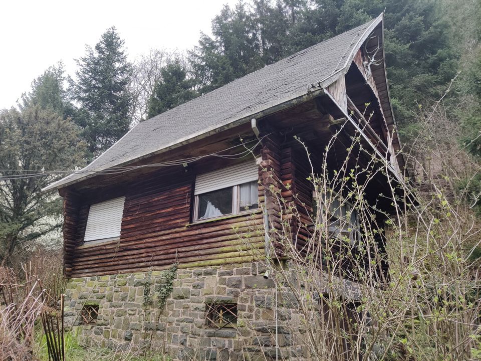 Großes naturbelassenes Grundstück in Sonneberg-Hüttensteinach in Sonneberg