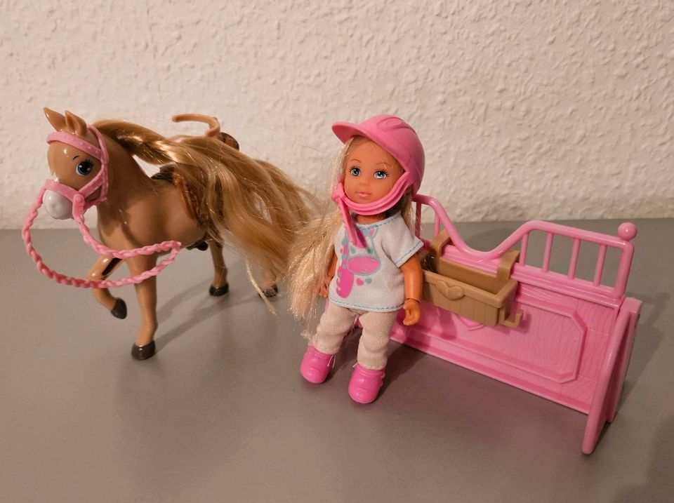 Barbie Puppen und Zubehör in Hermersberg